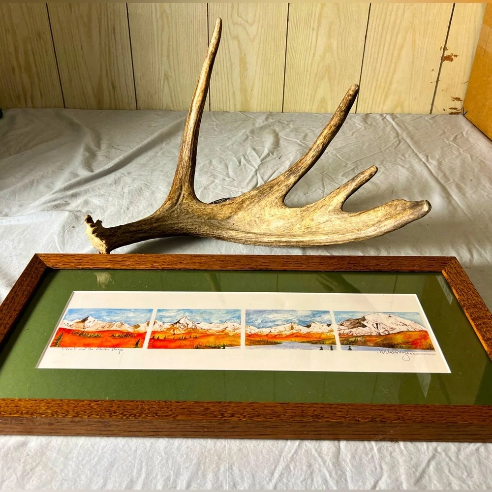 Print of the Alaska Range and Denali w/moose antler shed - Picture 1 of 3